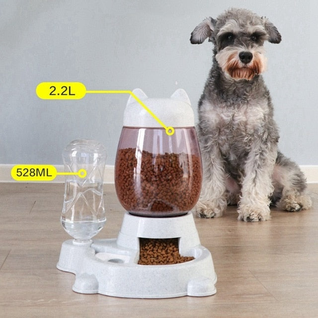 Automatic Pet Feeder