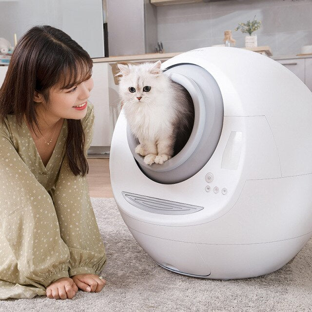 Automatic Cat Litter